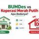 Apa Bedanya BUMDes dan Koperasi Merah Putih